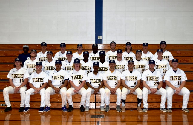 2018 Andrew College Baseball Team