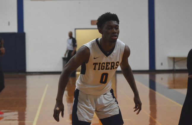 Tim Williamson leads Tigers with 21 points
