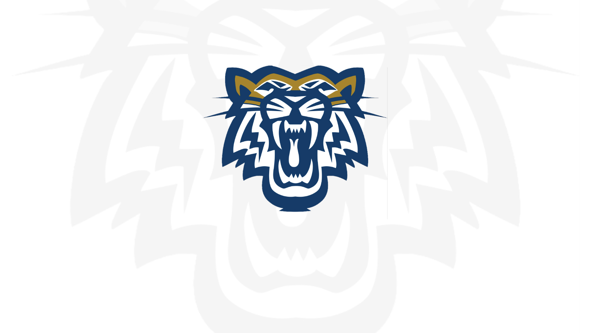 Andrew Fighting Tigers Fall to No. 4 Life University in Hard-Fought Wrestling Dual